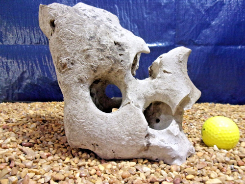 Texas holey rock - 07#,