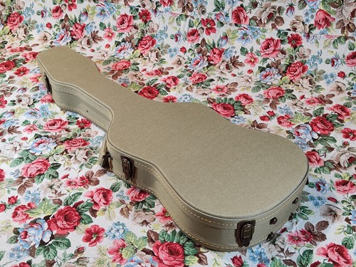Custodia per chitarra - custodia,