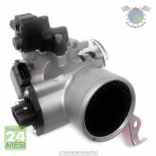 Bgnmd Corpo Farfallato Meat