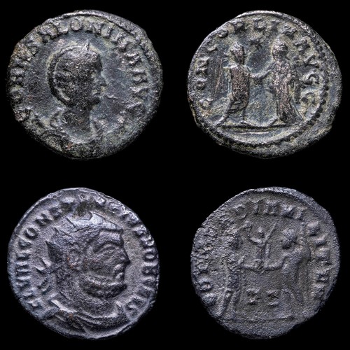 Salonina costanzo cloro - e,