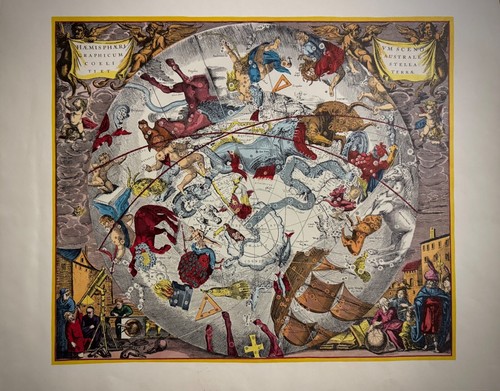 Harmonia macrocosmica - harmonia, macrocosmica-