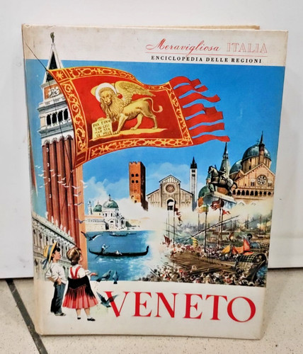 Libro meravigliosa italia - libro,