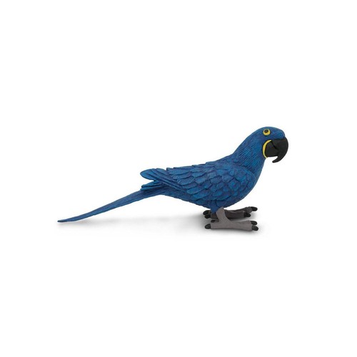 Hyacinth macaw wings the - hyacinth,