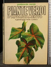 Piante verdi appartamento - piante,