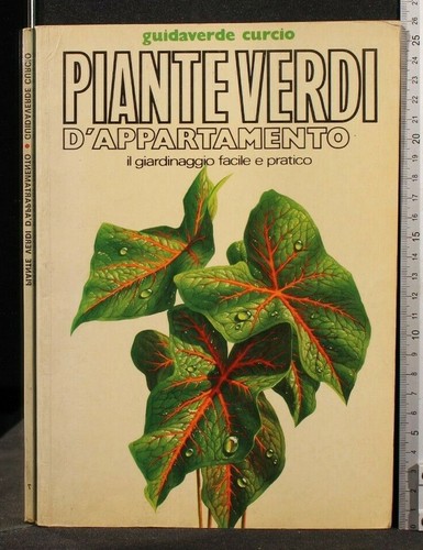 Piante verdi appartamento - piante,