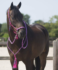 Set cavezza in Corda con nodi + redini + collare