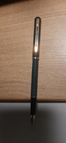 Waterman penna stilografica