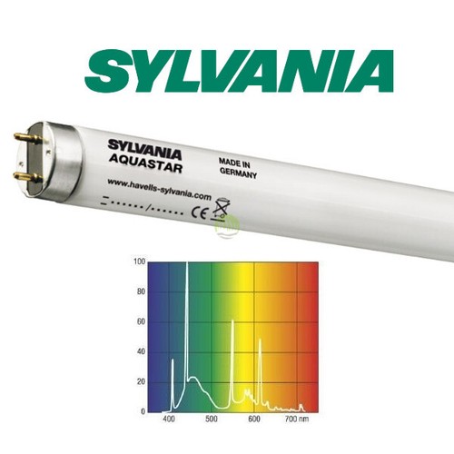 Sylvania 0002744 neon - sylvania,