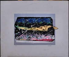 CARRARESI serigrafia e collages 50x60 firmata e siglata prova