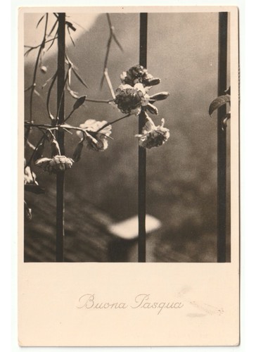 1937 foto cartolina auguri - , di