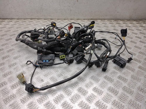 Cablaggio agusta 800 - cablaggio, mv