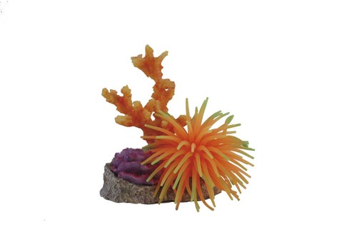 Decorazione acquaro marino - acquaro,