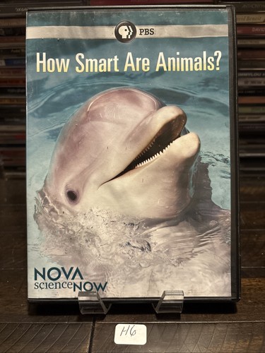 How smart are - are, pbs