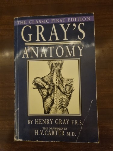 Gray anatomy descriptive - gray's,