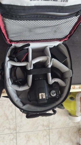 Canon eos 2000d mpx - 24,1,