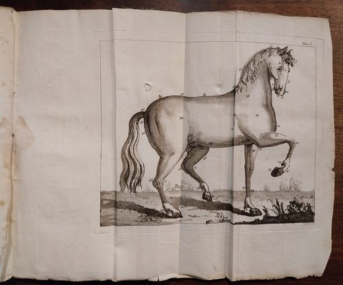 Fabris giuseppe guida pei - giuseppe,,