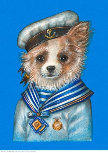 Chihuahua the sailor stampa - the,