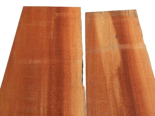 Sipo legno mogano - 1x,
