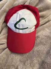 Pokémon Ash Ketchum Pokémon