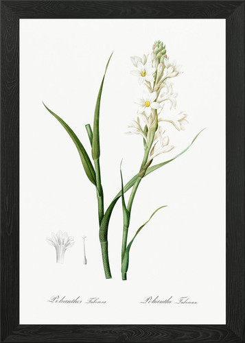 Quadro stampa poster arte - poster,