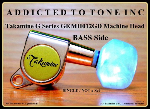 Vintage takamine gkmh012gd - vintage,