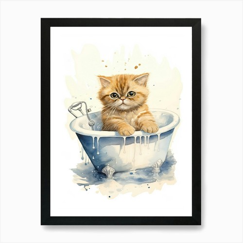 Gatto esotico pelo corto - a, in