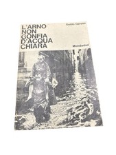 G. Gerosa - L'Arno non gonfia