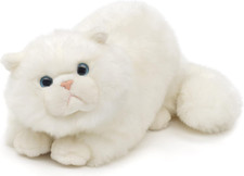 - Gatto Persiano, Bianco