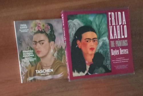 Lotto libri frida - libri,