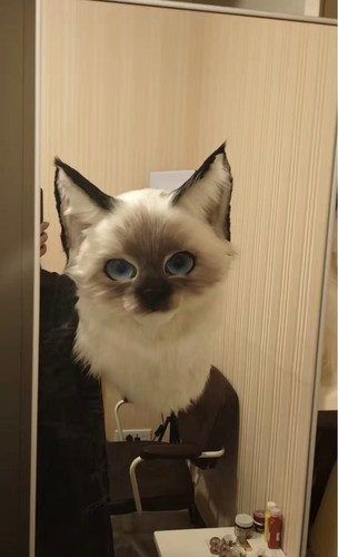 Maschera realistica ragdoll - maschera,