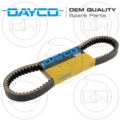 Cinghia trasmissione dayco oem - cinghia,