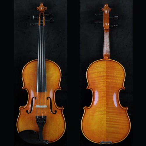 Favoloso violino fatto mano - violino,