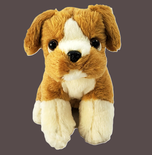 Terrier boxer cucciolo - boxer,
