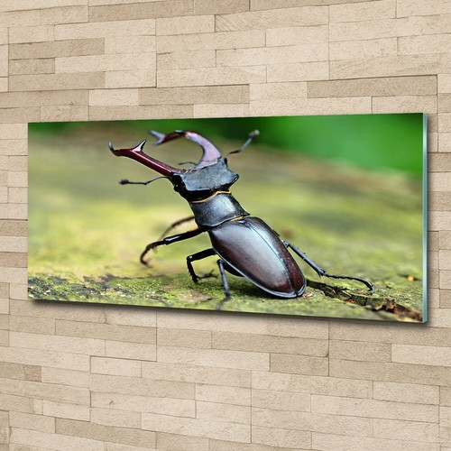 Quadro immagine arte - da, parete