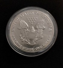 Oncia USA in argento del 1989