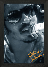 Stevie Wonder poster arte da