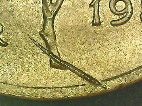 Lire 1984 errore - 20,