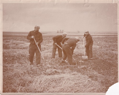 Original press photo - photo, ww1