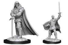 [TMS]  D&D NOLZUR'S MARVELOUS MINIATURES: HUMAN PALADIN MALE 90136 - UNPAINTED