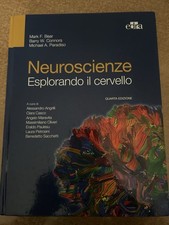 Neuroscienza Esplorando Il Cervello