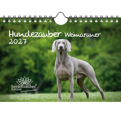 Magia per cani weimaraner din - magia,