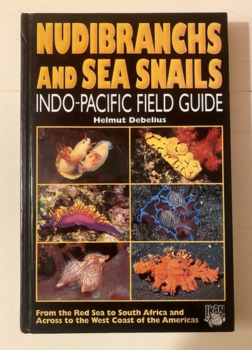 Nudibranchs and sea - nudibranchs,