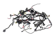Impianto Elettrico ABS DUCATI Monster 821 2015 2017 Electrical System ID74772