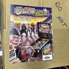 Volantino gioco arcade flipper