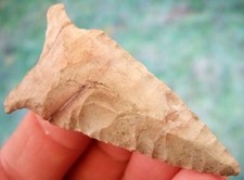 Super Fine Alabama Horse Creek Dalton Point con punte di freccia COA Insight