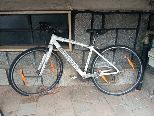 Bicicletta bianchi camaleonte