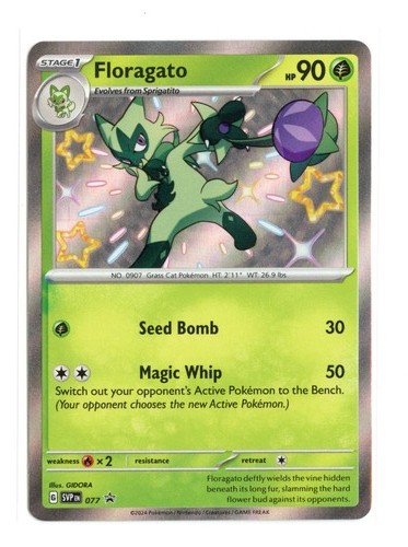 Floragato 077 promo - floragato, holo