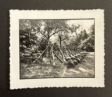 ELMETTI E FUCILI IN ACCIAIO