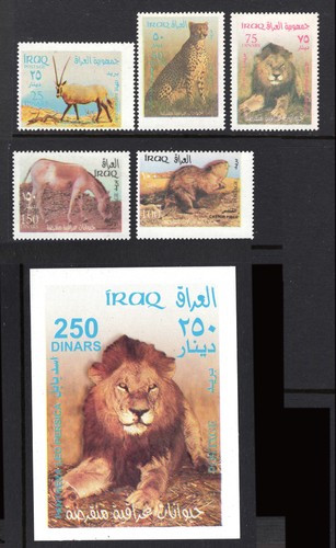 M28744 iraq 2003 - m28744,