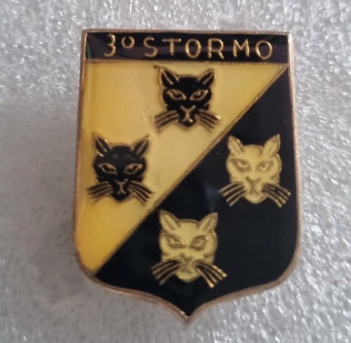 Distintivo spilla stormo - spilla,